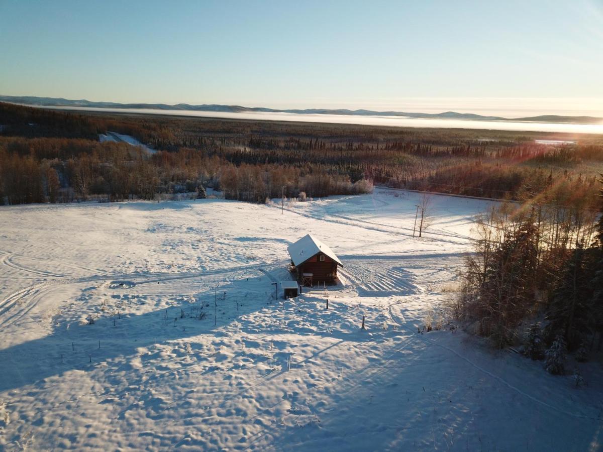 Secluded Log Cabin, 30 Min From Chena Hot Springs Pleasant Valley 외부 사진