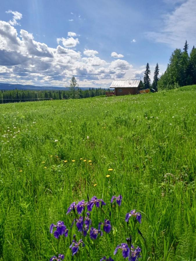 Secluded Log Cabin, 30 Min From Chena Hot Springs Pleasant Valley 외부 사진