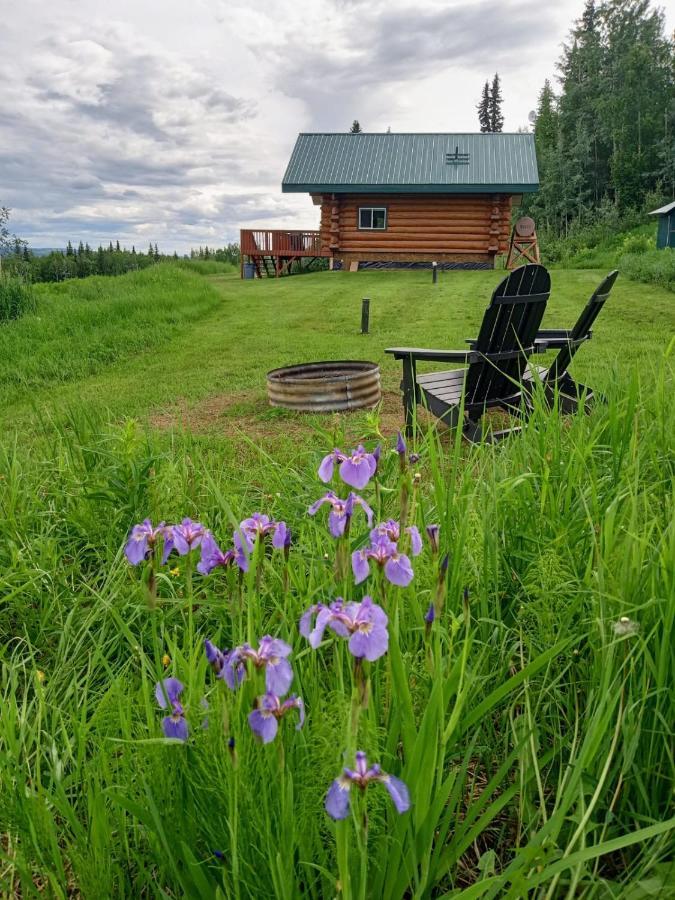 Secluded Log Cabin, 30 Min From Chena Hot Springs Pleasant Valley 외부 사진